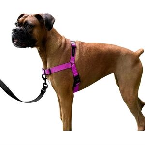 New Shawn Co no pull dog harness in orchid Medium
